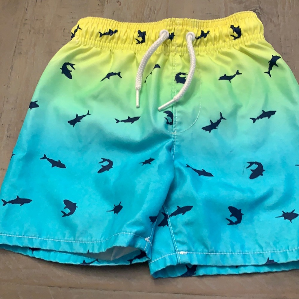 Boys swim trunks